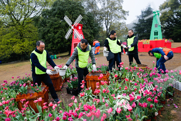 保洁公司员工在植物园里搬运花木。华龙网-新重庆客户端记者 石涛 摄.jpg