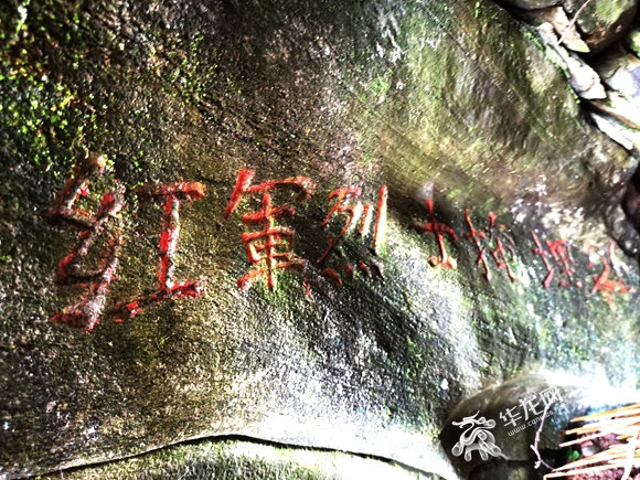 “红军洞”里的字迹。华龙网-新重庆客户端记者 谢鹏飞 摄.jpg