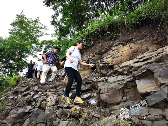 记者们在陡峭的山崖上跋涉。华龙网-新重庆客户端记者 谢鹏飞 摄.jpg