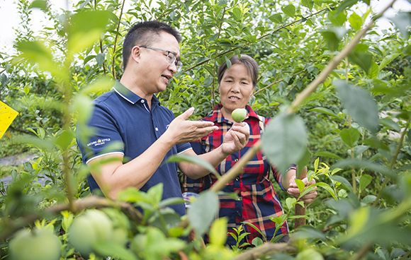 4、杨大可正在仙桃李基地中给种植户讲解仙桃李的管护知识。受访者供图 华龙网发.jpg