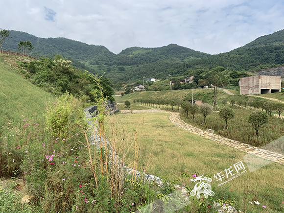 3、铜锣山脚下的路就地取材用矿石铺成，周围种上了各色植物。华龙网-新重庆客户端记者 王玮摄.jpg