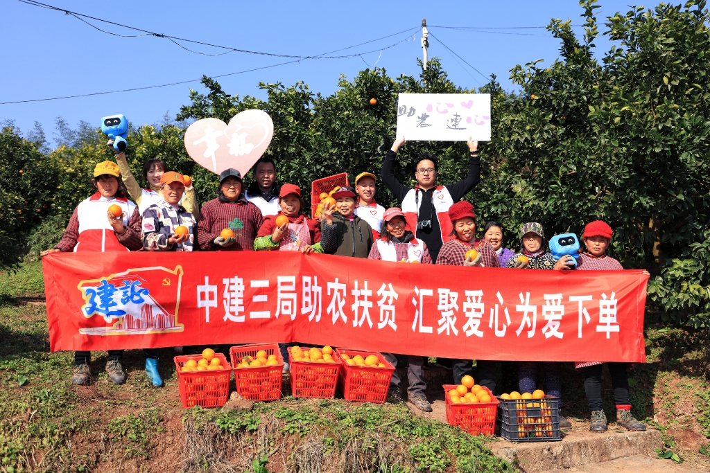 2000余斤柑橘将从重庆市忠县发往上海、浙江、江苏等地。中建三局供图 华龙网发