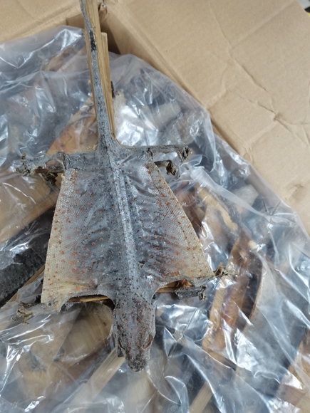 此次进口的印度尼西亚干制蛤蚧,属检疫性中药材。重庆海关供图 华龙网-新重庆客户端发本