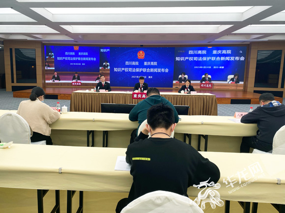 新闻发布会现场。华龙网-新重庆客户端 李袅 摄