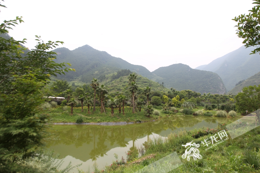 龙河流域优美的生态环境，吸引了越来越多市民前往。华龙网-新重庆客户端 记者 罗杰 摄