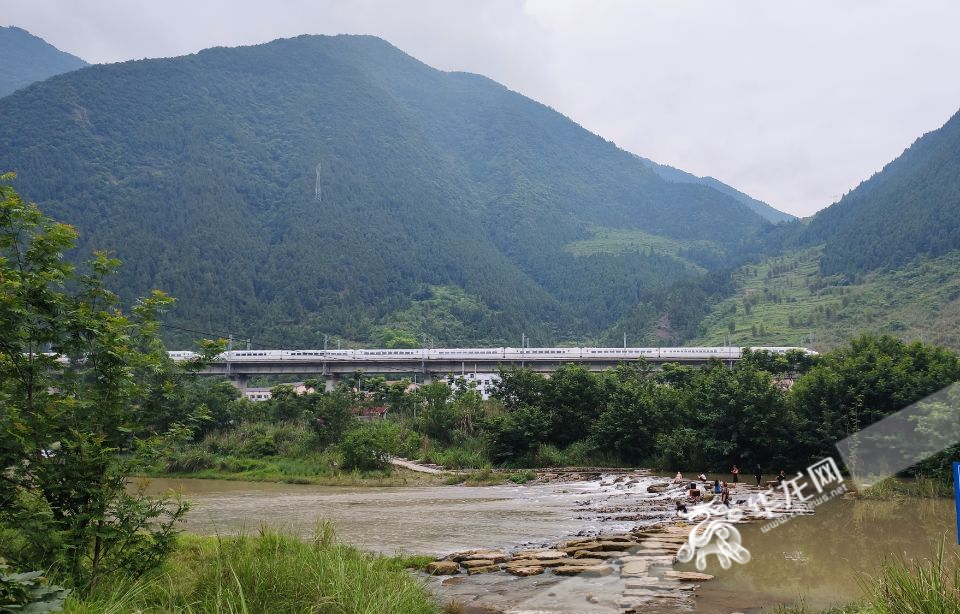 “和谐号”动车飞驰而过。华龙网-新重庆客户端 记者 罗杰 摄