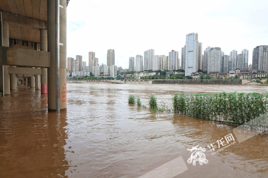 7月12日，嘉陵江水位上涨，大溪沟码头部分区域被淹。华龙网-新重庆客户端记者 张质 摄