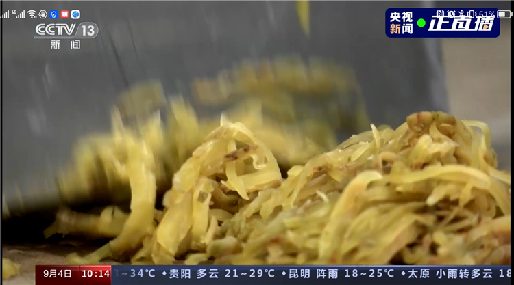 央视报道涪陵榨菜产业。视频截图