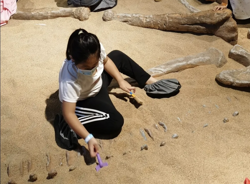 这个假期，恐龙挖掘也是孩子们的最爱。受访人 供图