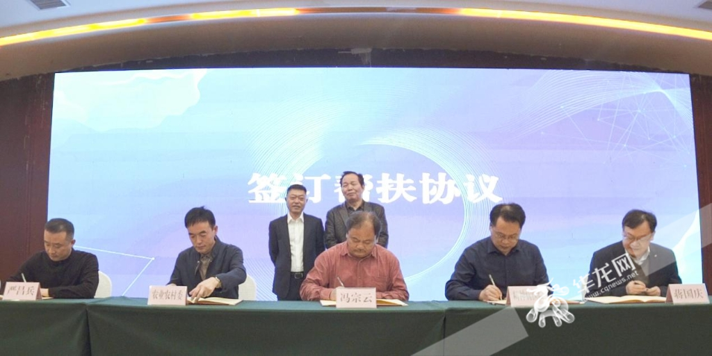 专家团代表与基层受援单位代表签订长期帮扶协议。重庆市专家服务中心 供图