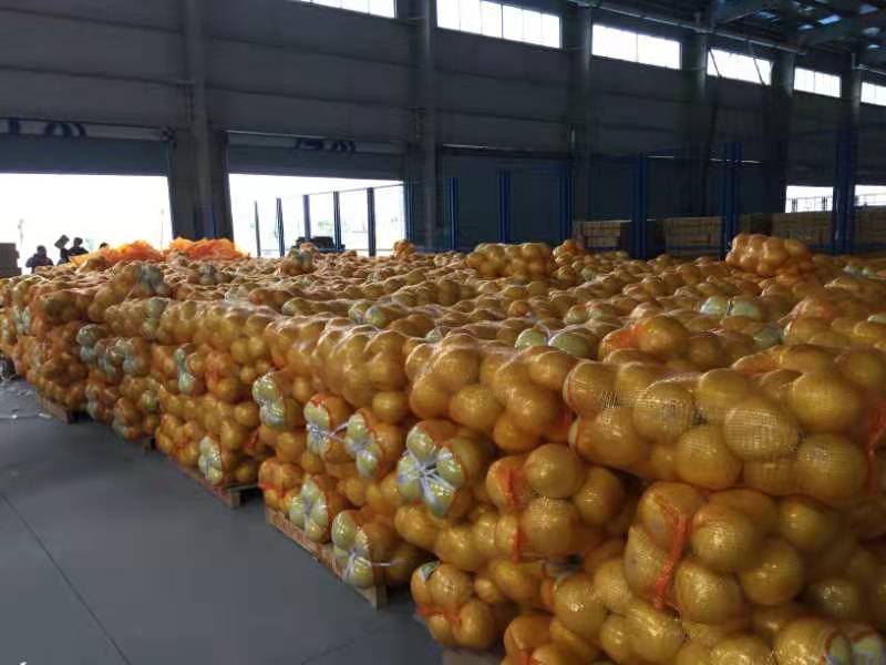 邓忠胜最近20天就卖出了100万箱的水果，销售额突破200万元。 受访者供图 华龙网-新重庆客户端 发