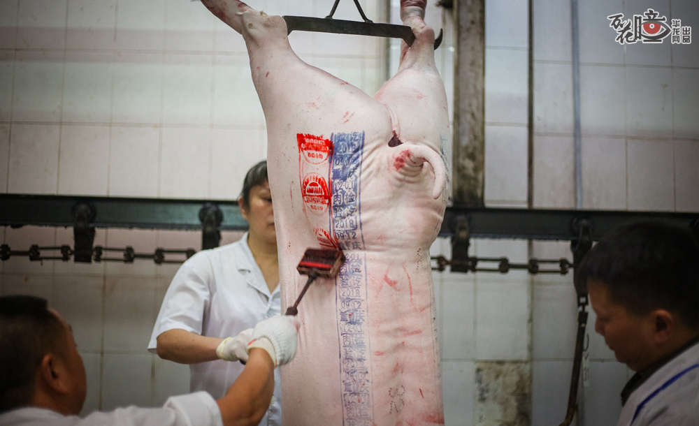 猪肉经检查合格，将被加盖蓝色方形的检疫验讫印章。一旁红色的印记，为肉食品公司的肉品品质检验合格验讫印章。