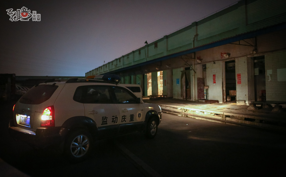 晚上10点，重庆动监的车停在了全市最大的屠宰场——重庆农投肉食品有限公司。