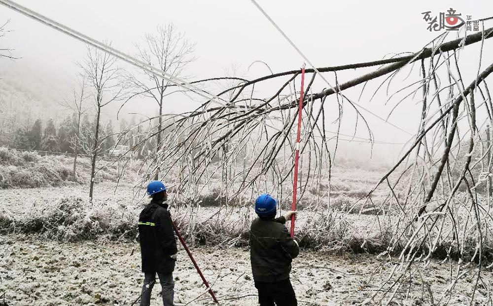 积雪太多容易将树枝压弯压断，为了不让树枝刮断电线，电力人员在巡检过程中，要不断将这些树枝进行清理，保障供电设备安全。