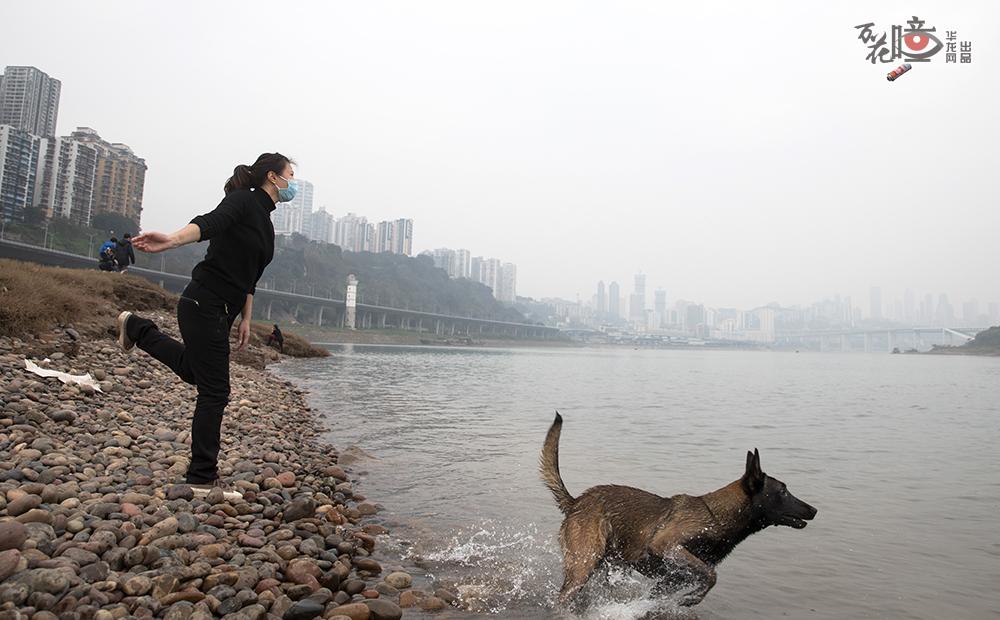 随着疫情防控形势好转，遛狗、到江边散步……这些闲适舒畅的生活日常正在逐渐恢复。