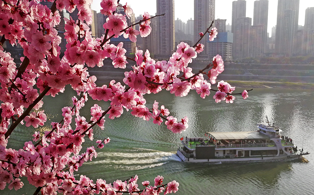 花开长江畔，美在山水间。