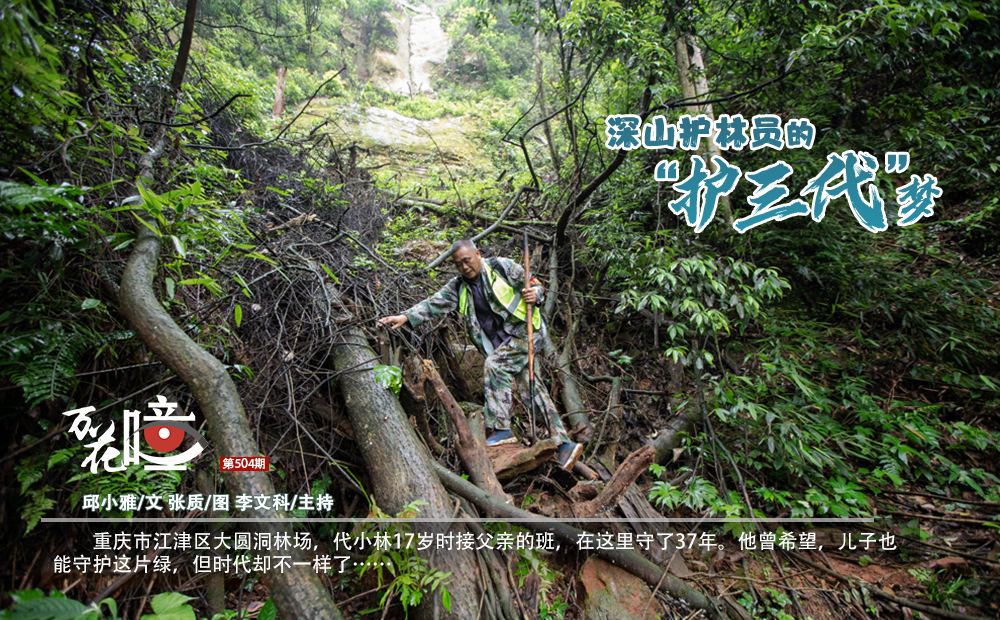 重庆市江津区大圆洞林场，代小林17岁时接父亲的班，在这里守了37年。他曾希望，儿子也能守护这片绿，但时代却不一样了……