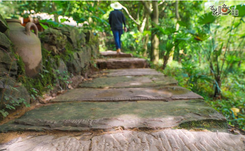 乡土材料，结合传统工艺并加以创新应用，呈现的曲折蜿蜒的田园步道，贯穿山茶溪始终，营造出浓郁的乡村气息。