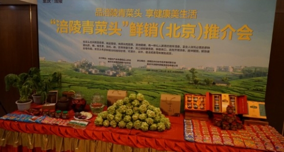  涪陵青菜头鲜销推介会在北京举行