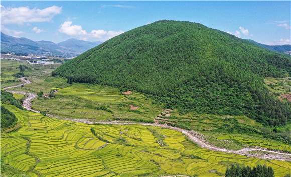 四川省凉山州普格县螺髻山镇黄草坪村梯田(无人机照片).