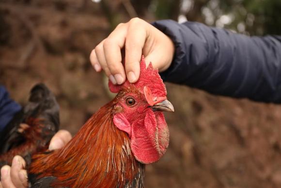 今年,重庆市卫生计生监督执法局卫生监督员罗清云主动申请,到三胜村上
