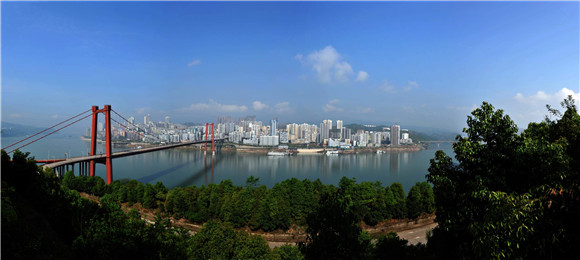 对话代表委员来了市人大代表忠县县长江夏大力发展特色产业推动高质量