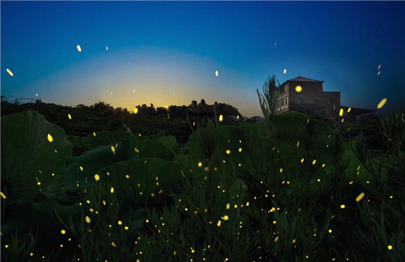 渝北石船镇开启盛夏模式蓝莓采摘萤火露营邂逅浪漫