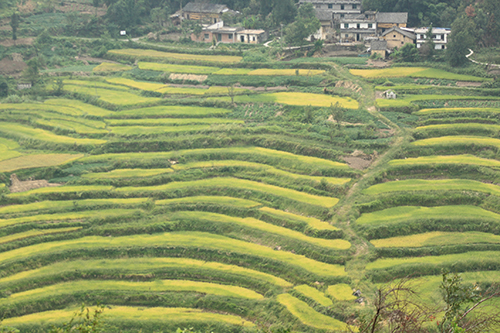 云阳双土镇:抓住机遇三变改革 改出一个新天地