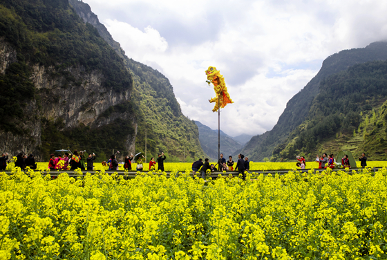 丰都暨龙镇:培育发展多种产业 帮助村民增收致富