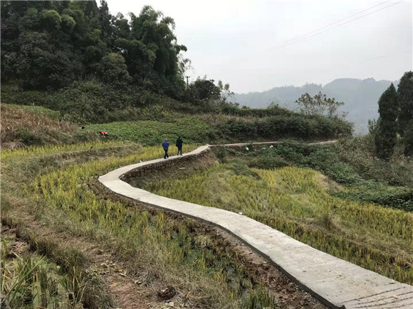 主题教育看区县|綦江隆盛镇有个党总支第一书记 村民说他"带活了整个