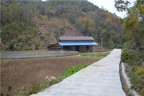 巫溪塘坊镇:藏在大山深处 漆树丫上的最美清洁户