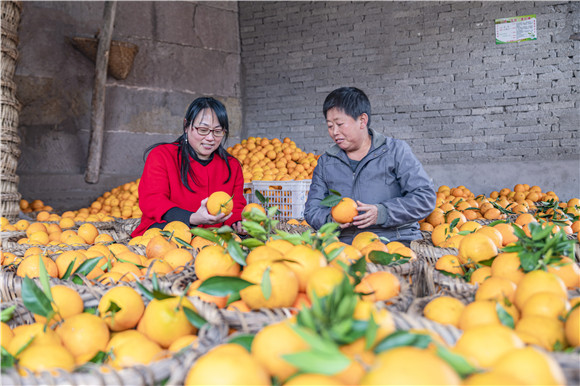 代表委员来了丨市人大代表,丰都县委书记徐世国:真抓实干克难攻坚 促