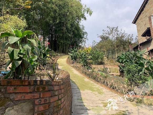 烂泥坝变花园 江津广兴镇农家院坝藏着乡村治理"大账本 "