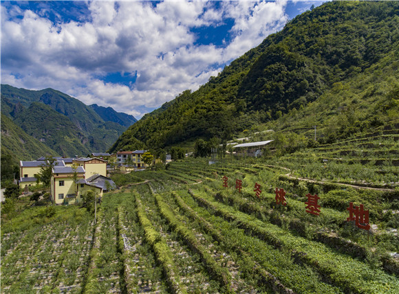 天元乡宝坪村冬桃基地.巫溪县委宣传部供图 华龙网发