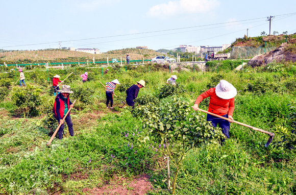 不负好春光忠州大地春耕春播忙