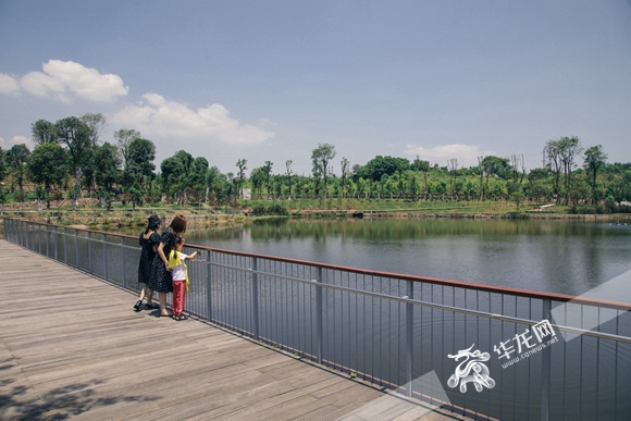 在蔡家乐见每一种生活②感受湖水映碧城北碚蔡家又一座新公园即将开放