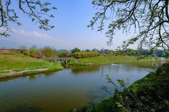 梁灘河兩岸綠草如茵.北碚區歇馬街道供圖 華龍網發