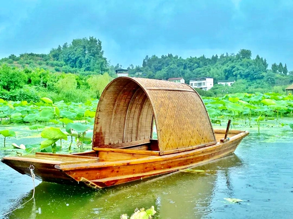 忠县第七届三峡橘乡荷花文化旅游节明日开幕!