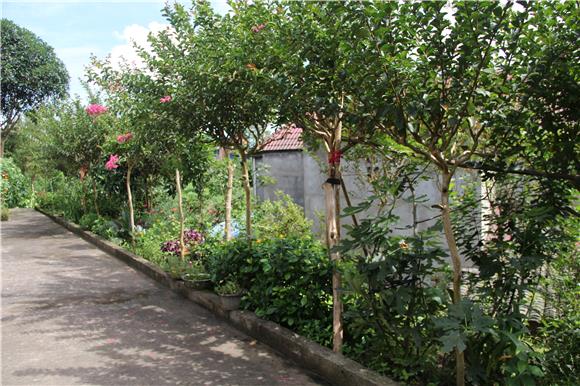 丰都县董家镇开展人居环境整治行动 打造宜居乡村