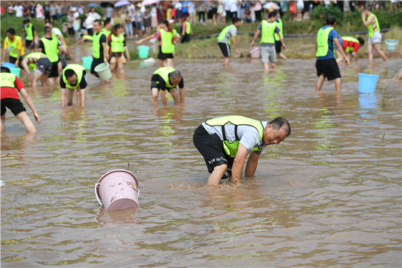 体验生态 璧山举办第一届"清水鱼"摸鱼节