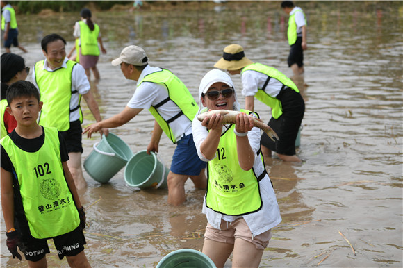 体验生态 璧山举办第一届"清水鱼"摸鱼节