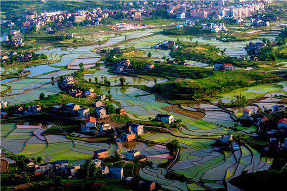 2020年重庆市粮食安全宣传周在綦江区启动