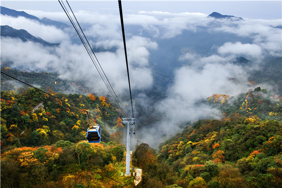 游遍重庆丨这个冬天 去金佛山来一场雪中狂欢