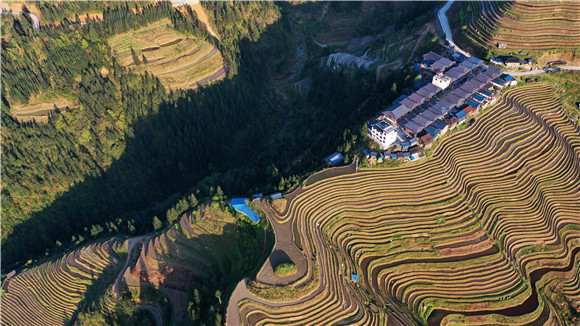 贵州省从江县加勉乡别通村梯田与苗寨(无人机照片).
