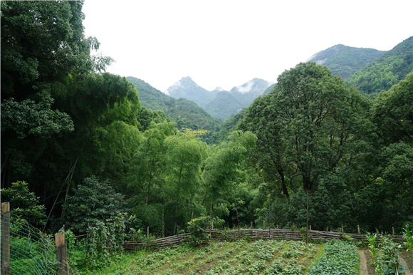 7月2日,蒋金春(右)和母亲李嫦娥一起直播制作美食.