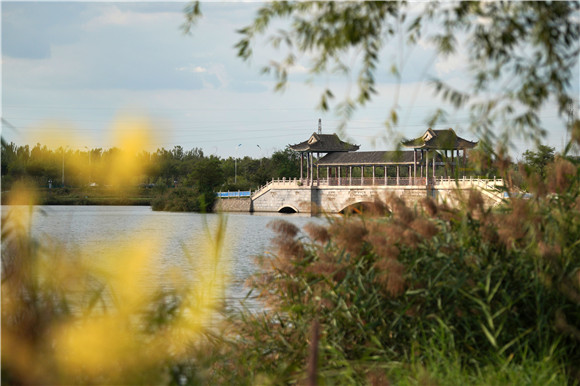 河北省清河縣清涼江生態公園景色.新華社記者 牟宇 攝