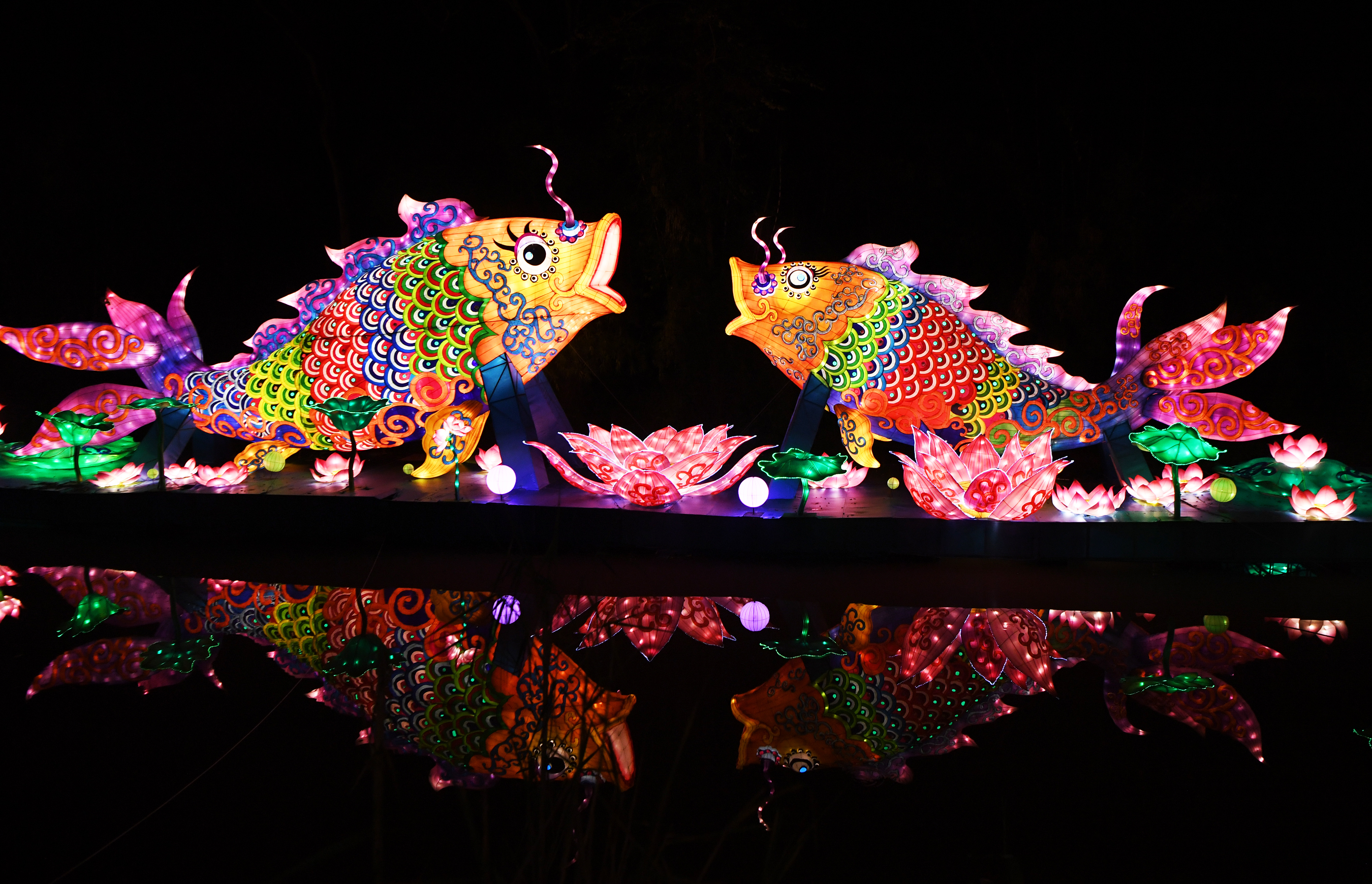 鲤鱼灯 新华社记者 王全超 摄灯会上的彩灯以中华传统文化和巴渝历史