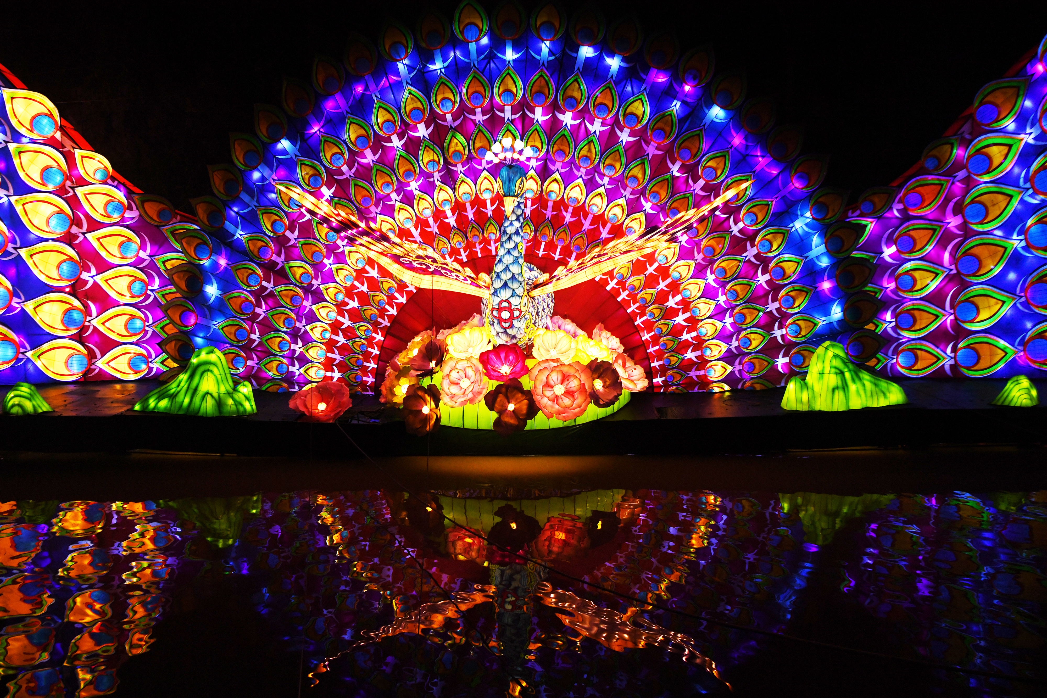 孔雀灯 新华社记者 王全超 摄